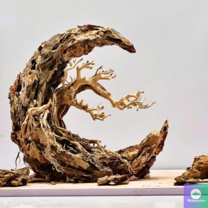 Bonsai style