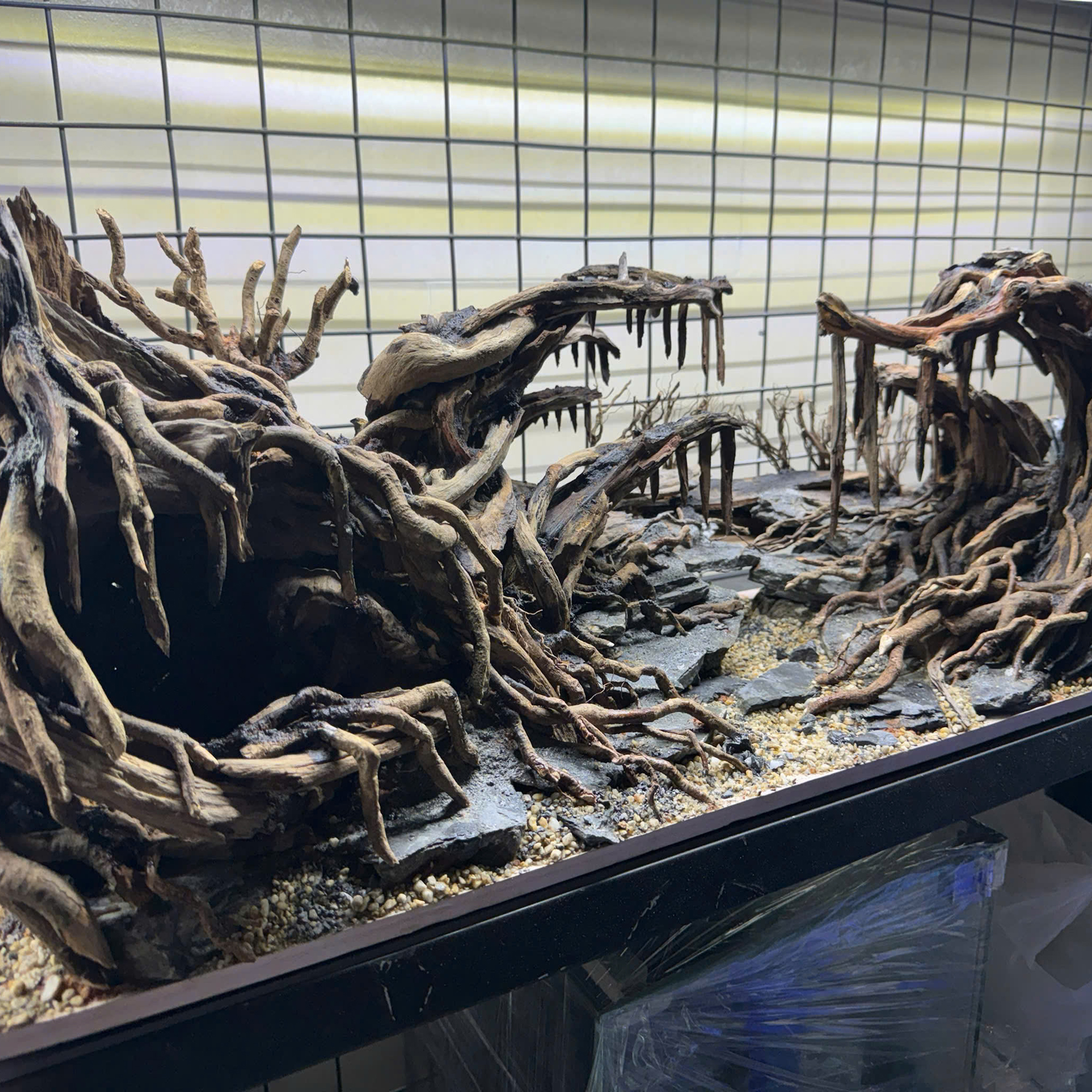 Jungle Aquascape Aquarium sacred forest - Image 7