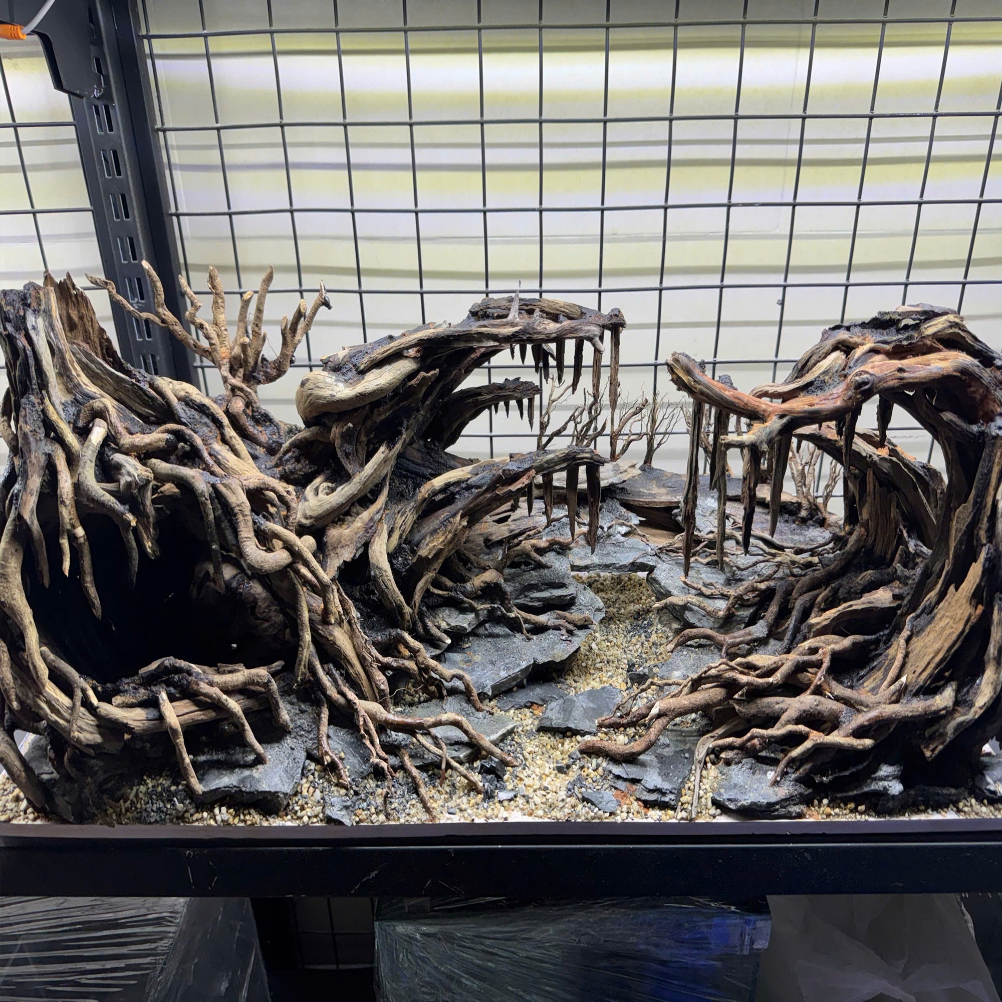 Jungle Aquascape Aquarium sacred forest - Image 2