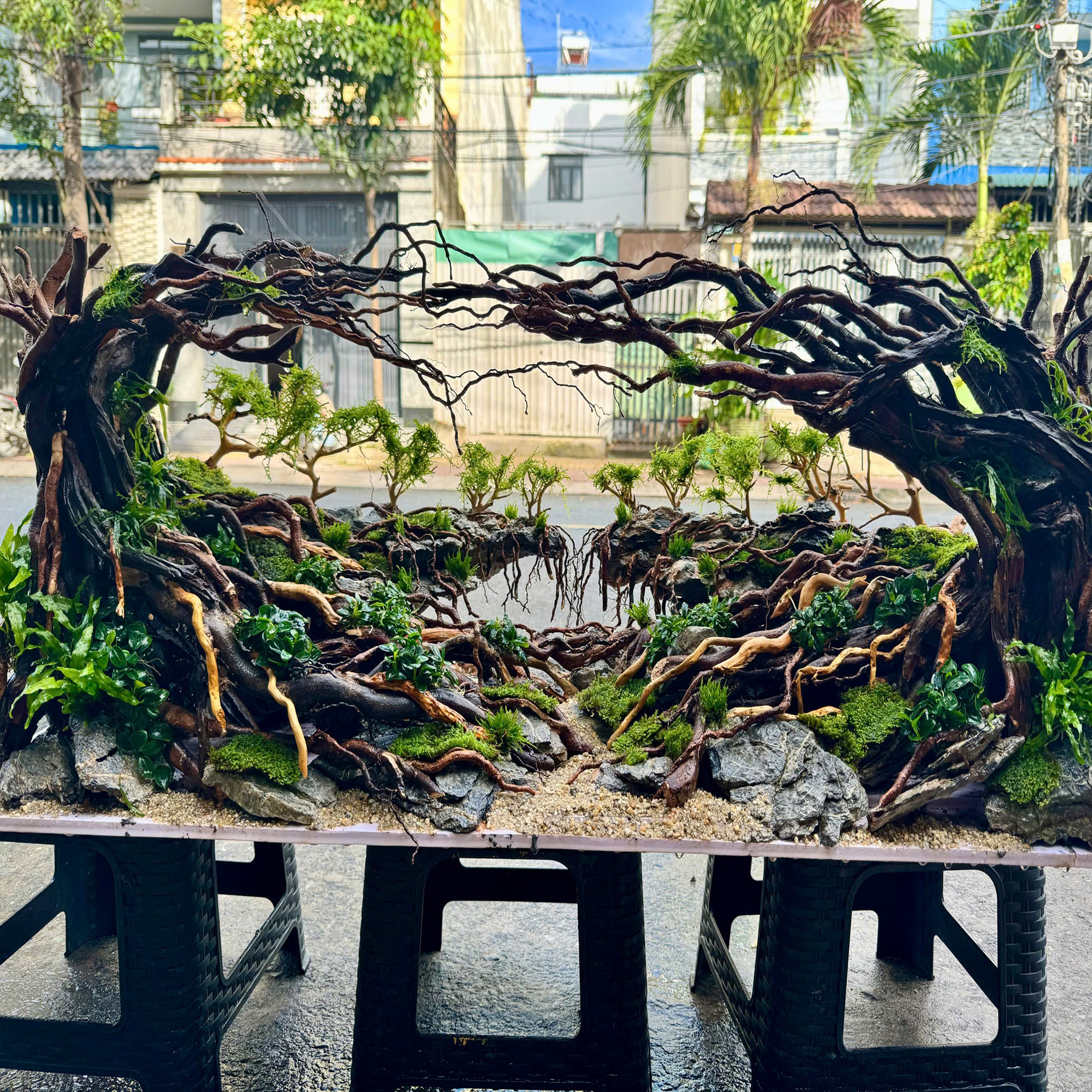 Handmade Aquascape Decor, Aquarium Landscape,Jungle Hardscape - Image 7