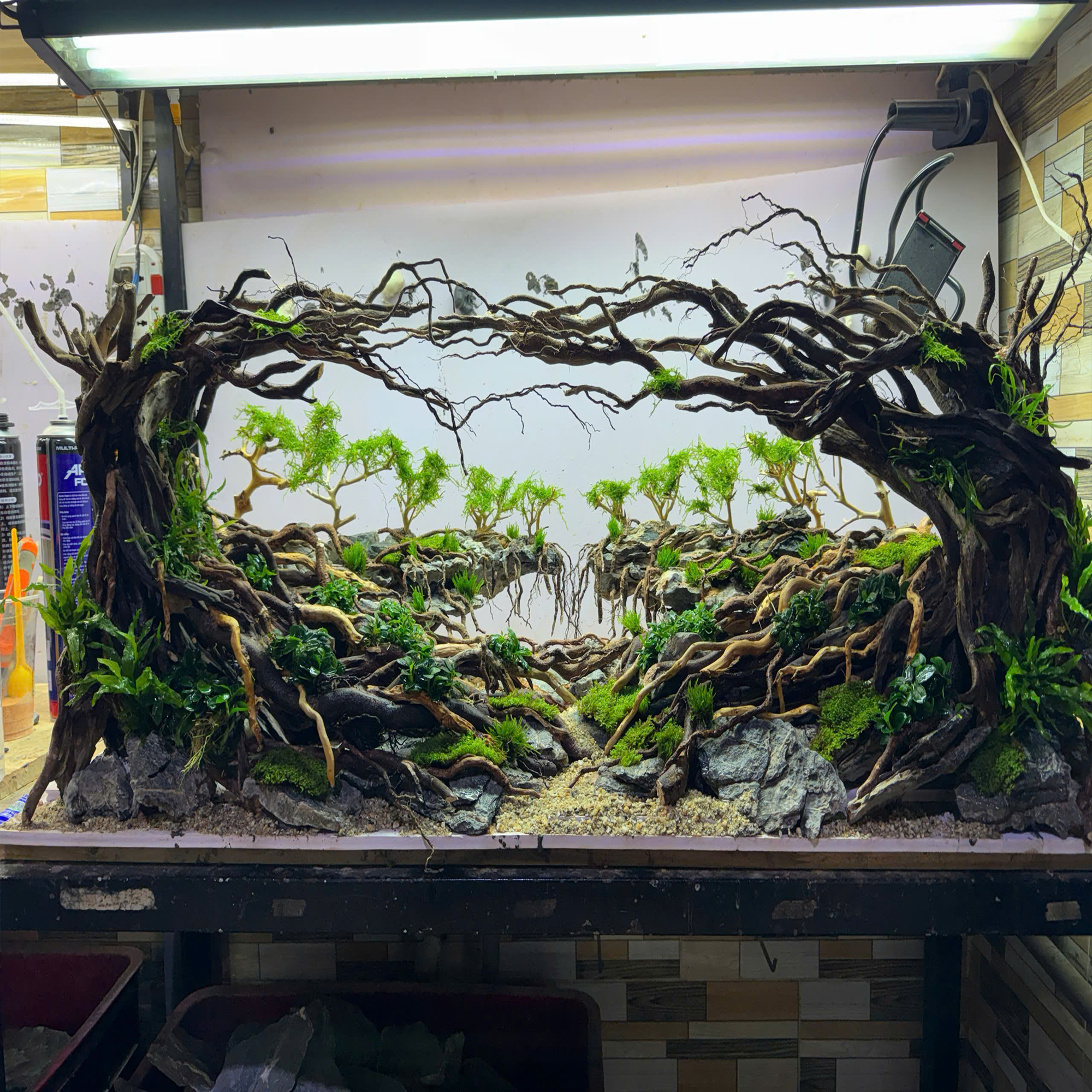 Handmade Aquascape Decor, Aquarium Landscape,Jungle Hardscape