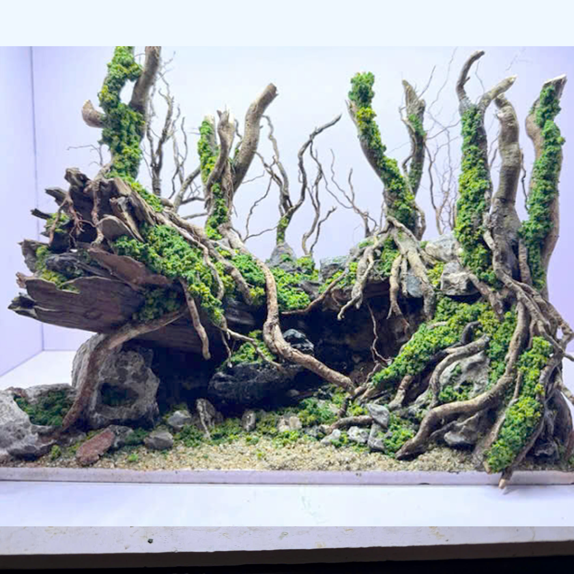 Handmade Aquascape Decor, Aquarium Landscape
