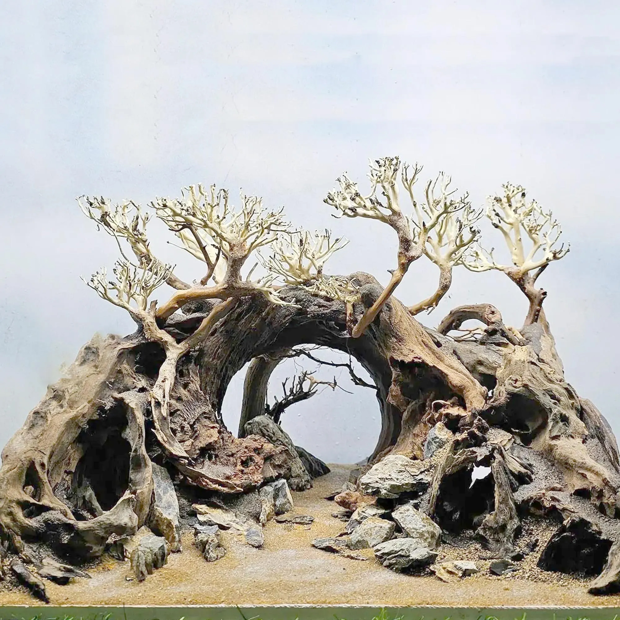 Bonsai aquascape Aquarium - Image 5