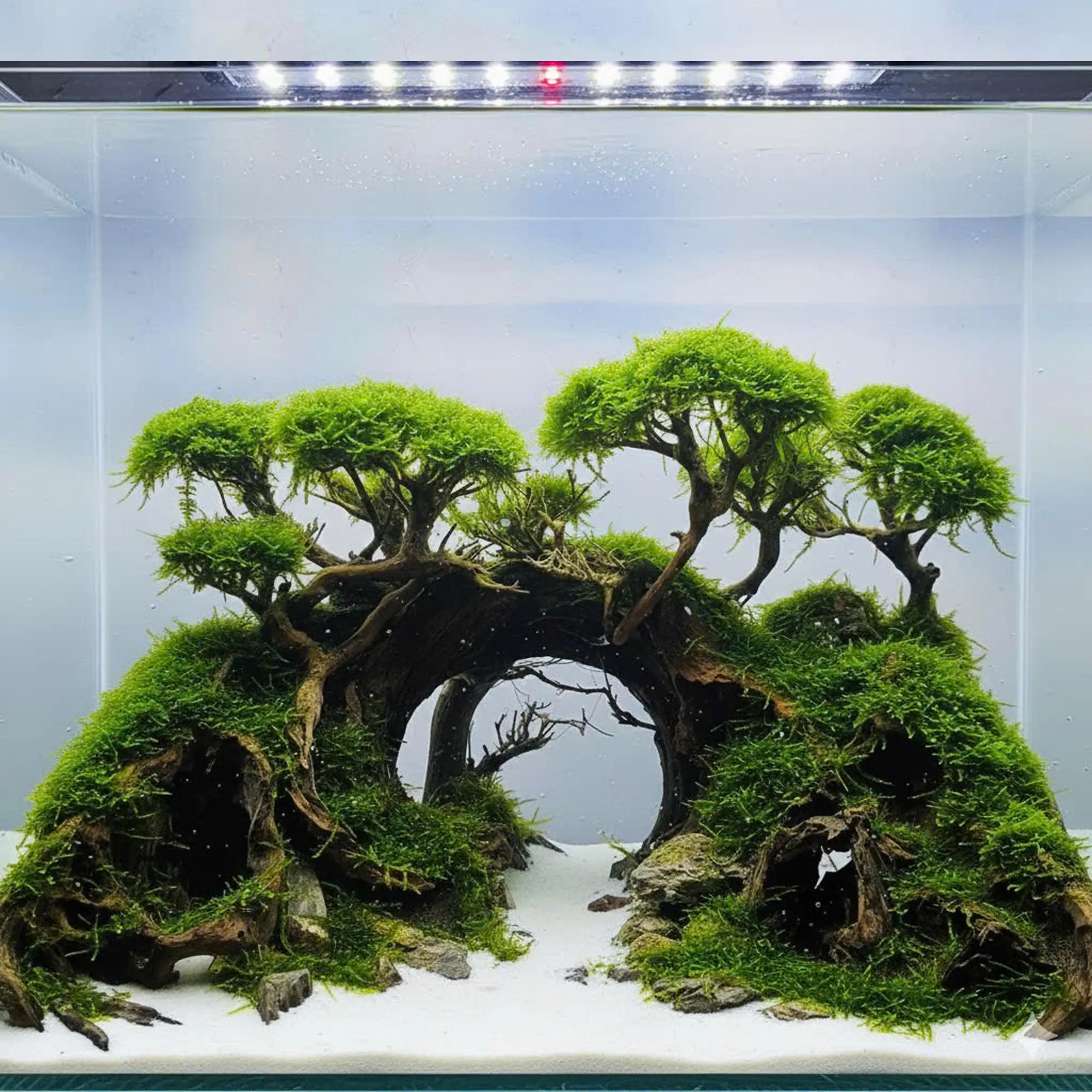 hardscape