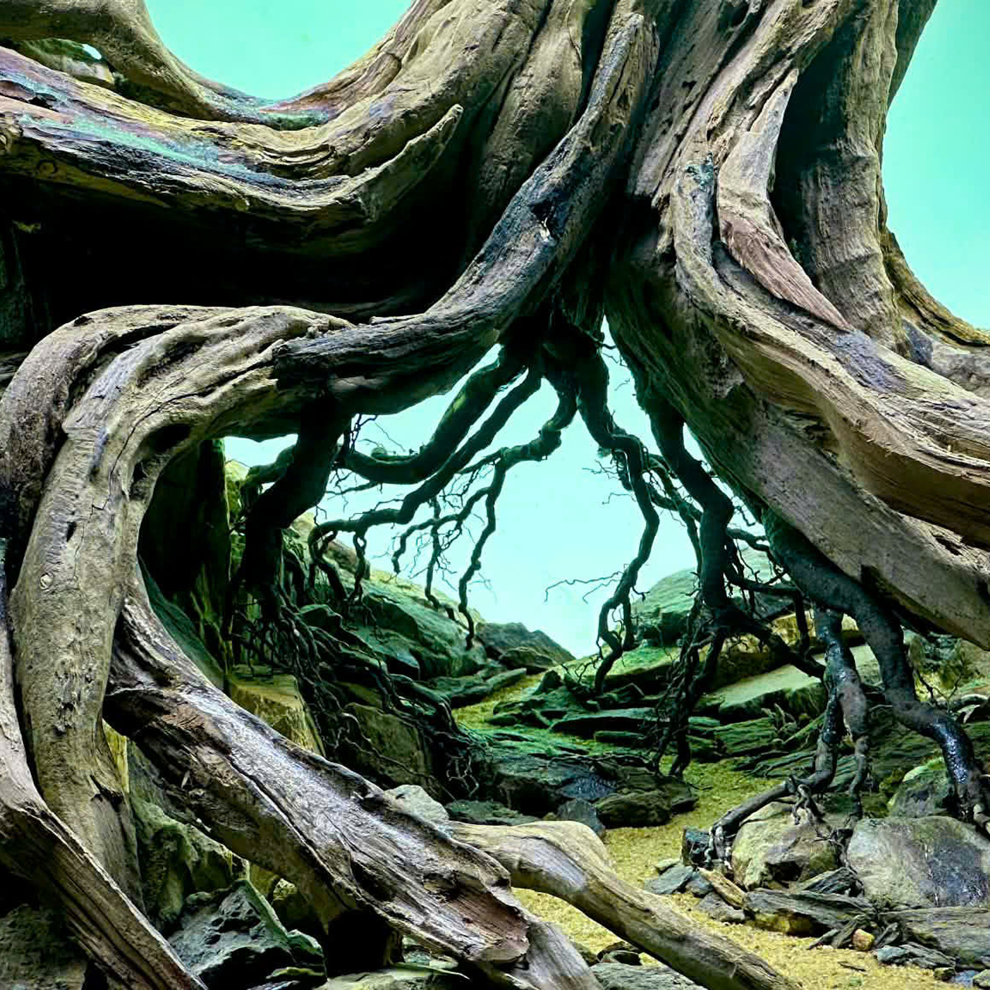 Forest Hardscape Aquarium, Aquarium decoration - Image 9