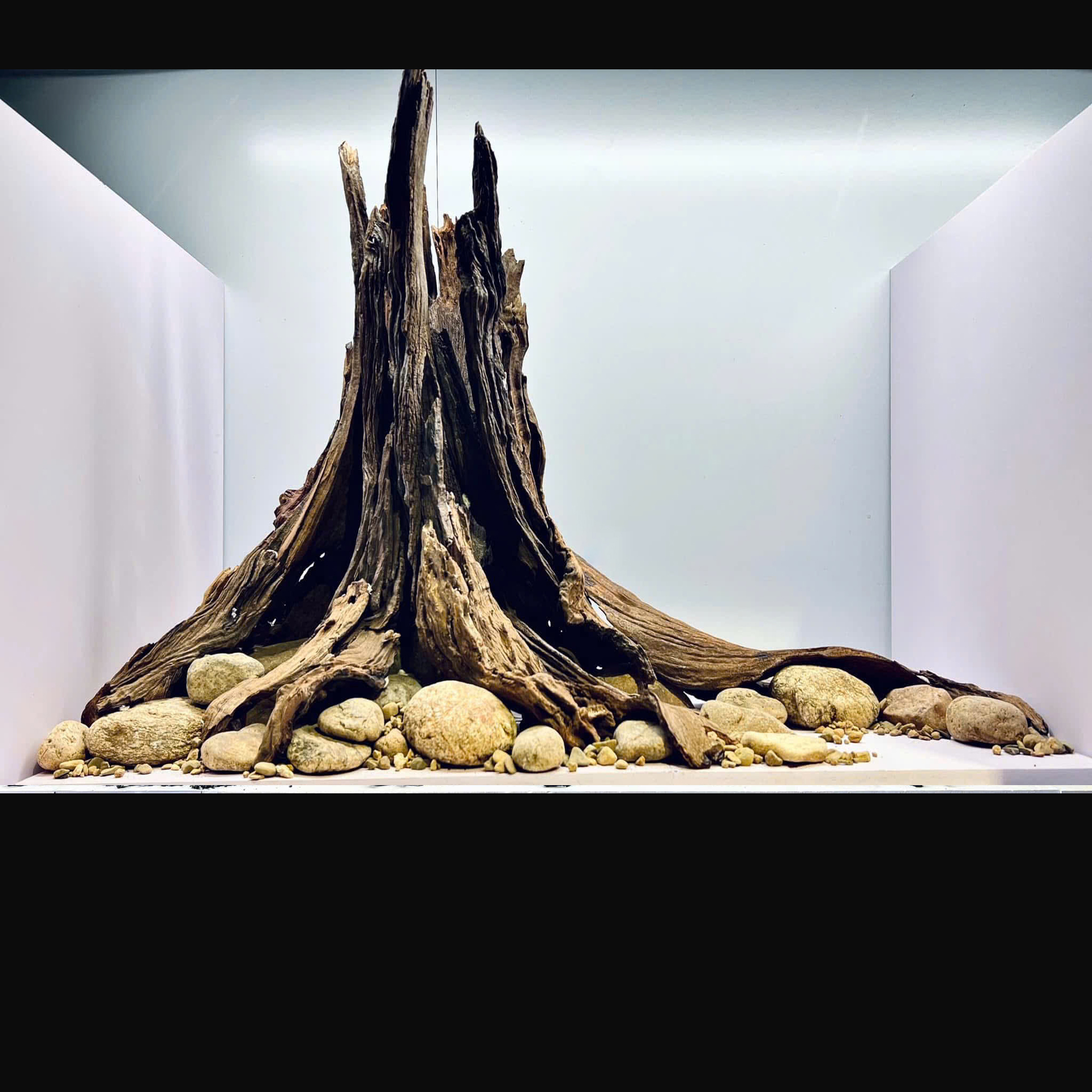 Nature Hardscape tree trunk Aquarium,Terrarium