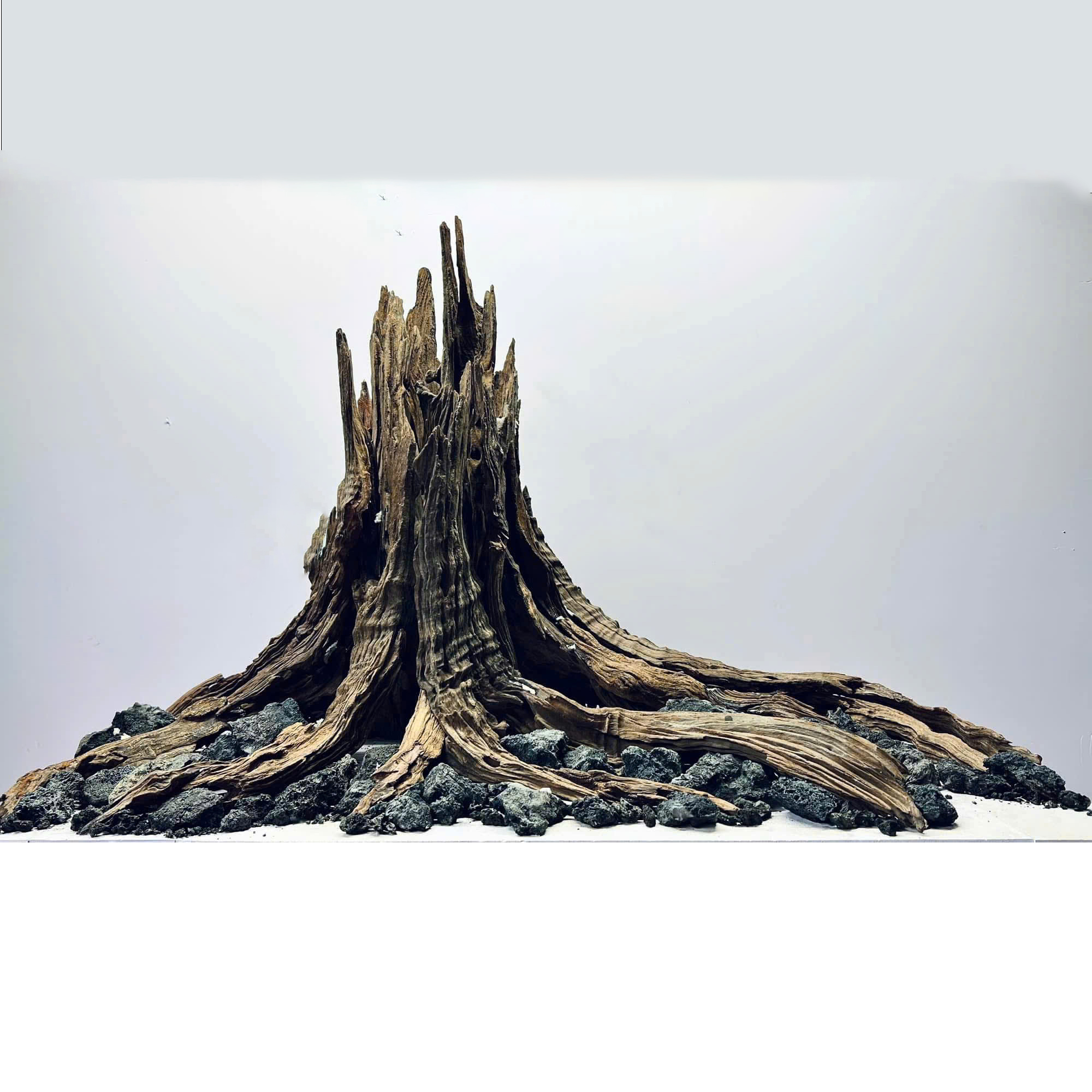 Nature Hardscape tree trunk Aquarium,Terrarium - Image 7