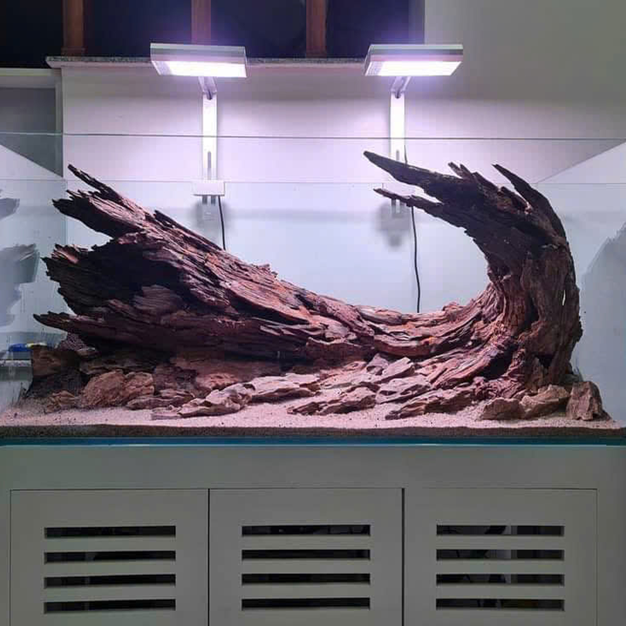 Nature Aquascape aquarium, Terrarium decoration,Vivarium decoration - Image 8