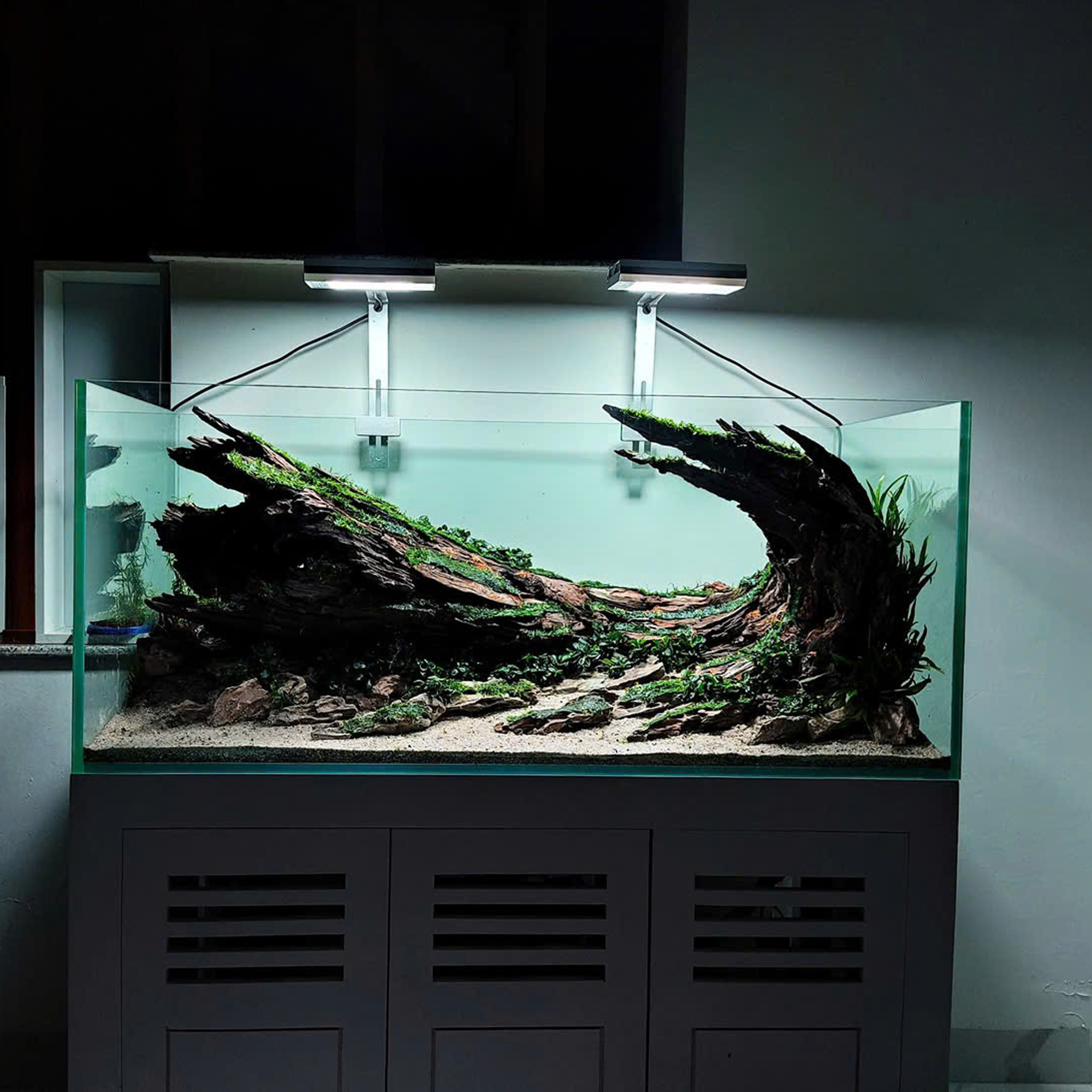 Nature Aquascape aquarium, Terrarium decoration,Vivarium decoration - Image 3