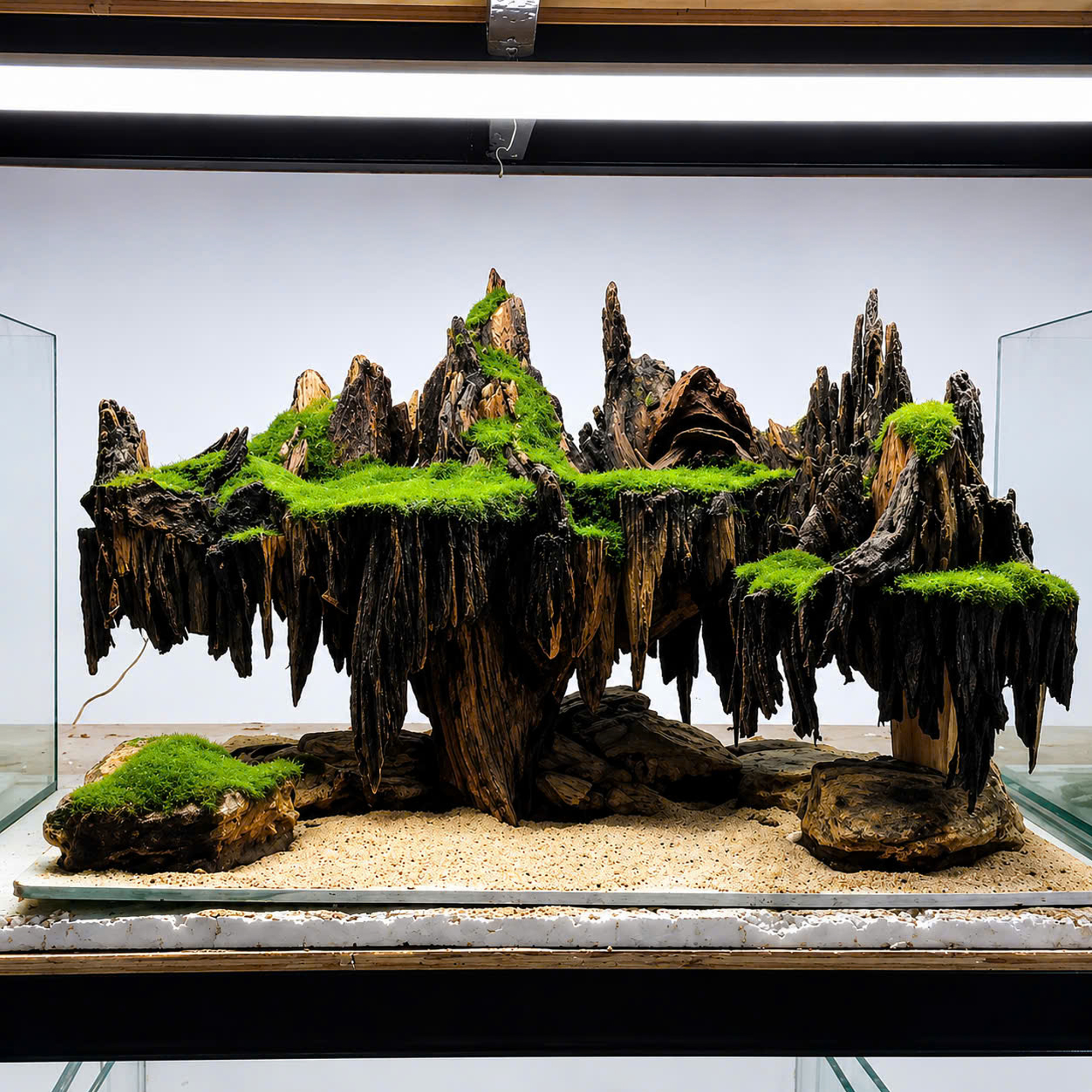 Aquarium decor,Aquascaping,Jungle aquascape,Fish tank decor