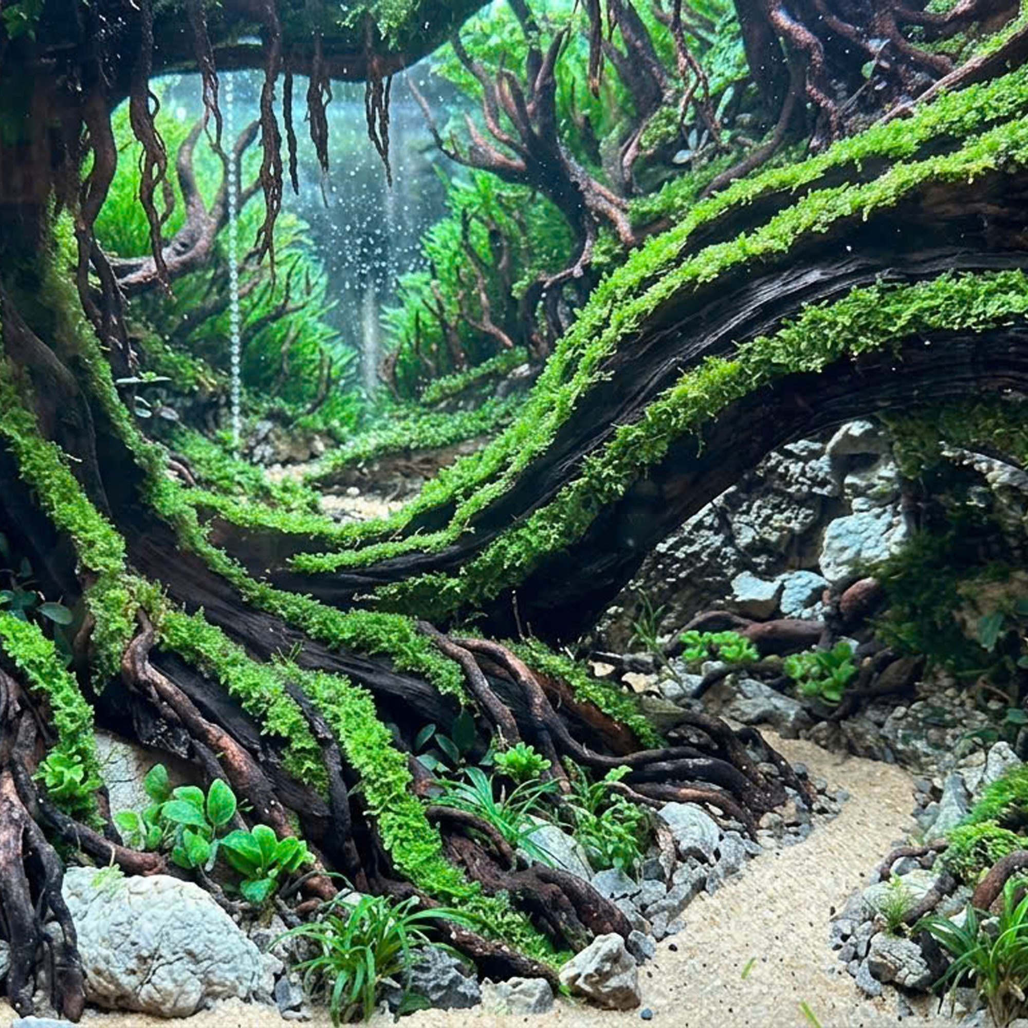 Forest Aquascaping, Aquarium Hardscape - Image 4