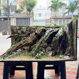 3D Aquascape Aquarium , Jungle aquascape, Paludarium