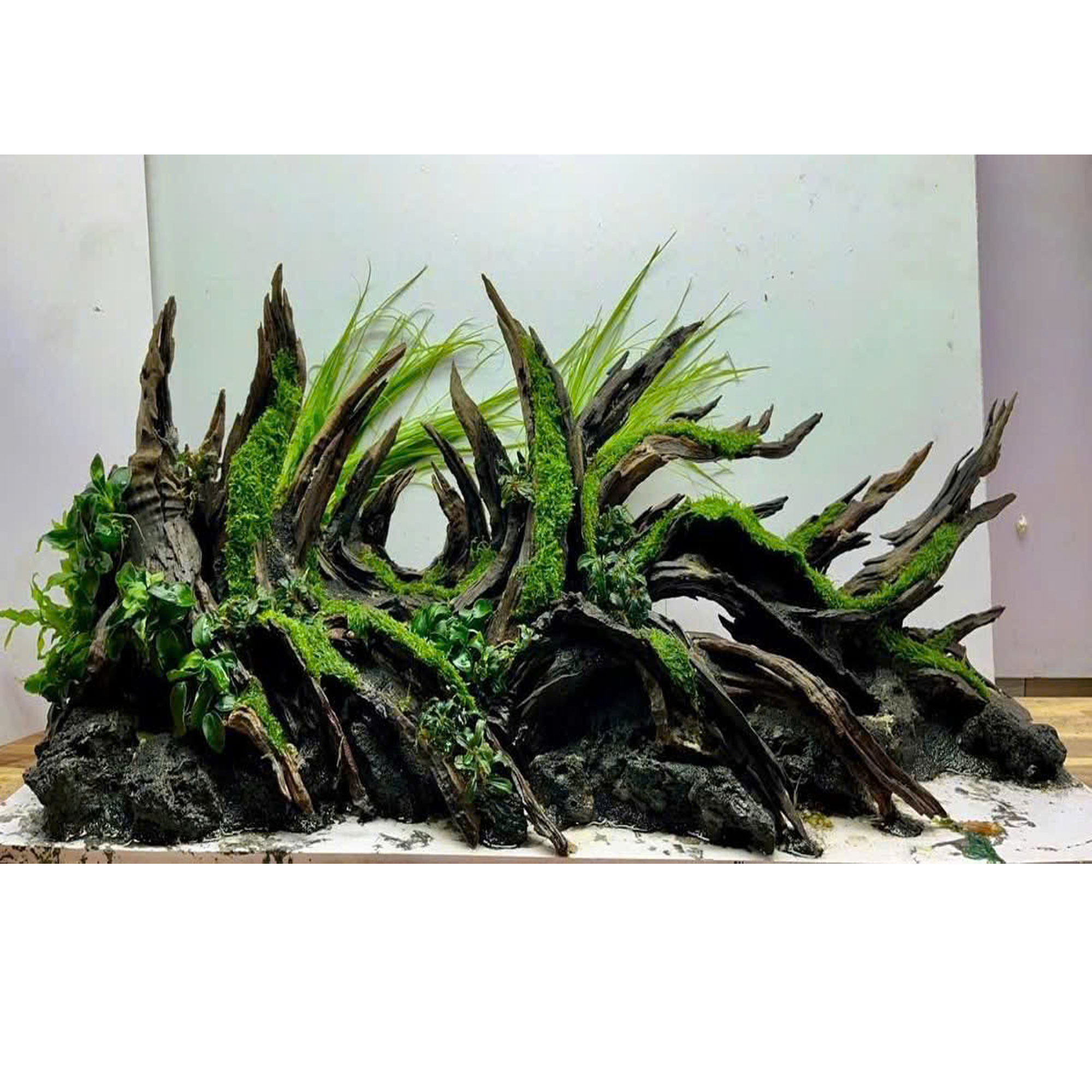 Natural Aquascape Layout – Vivarium,Terrarium hardscape - Image 3