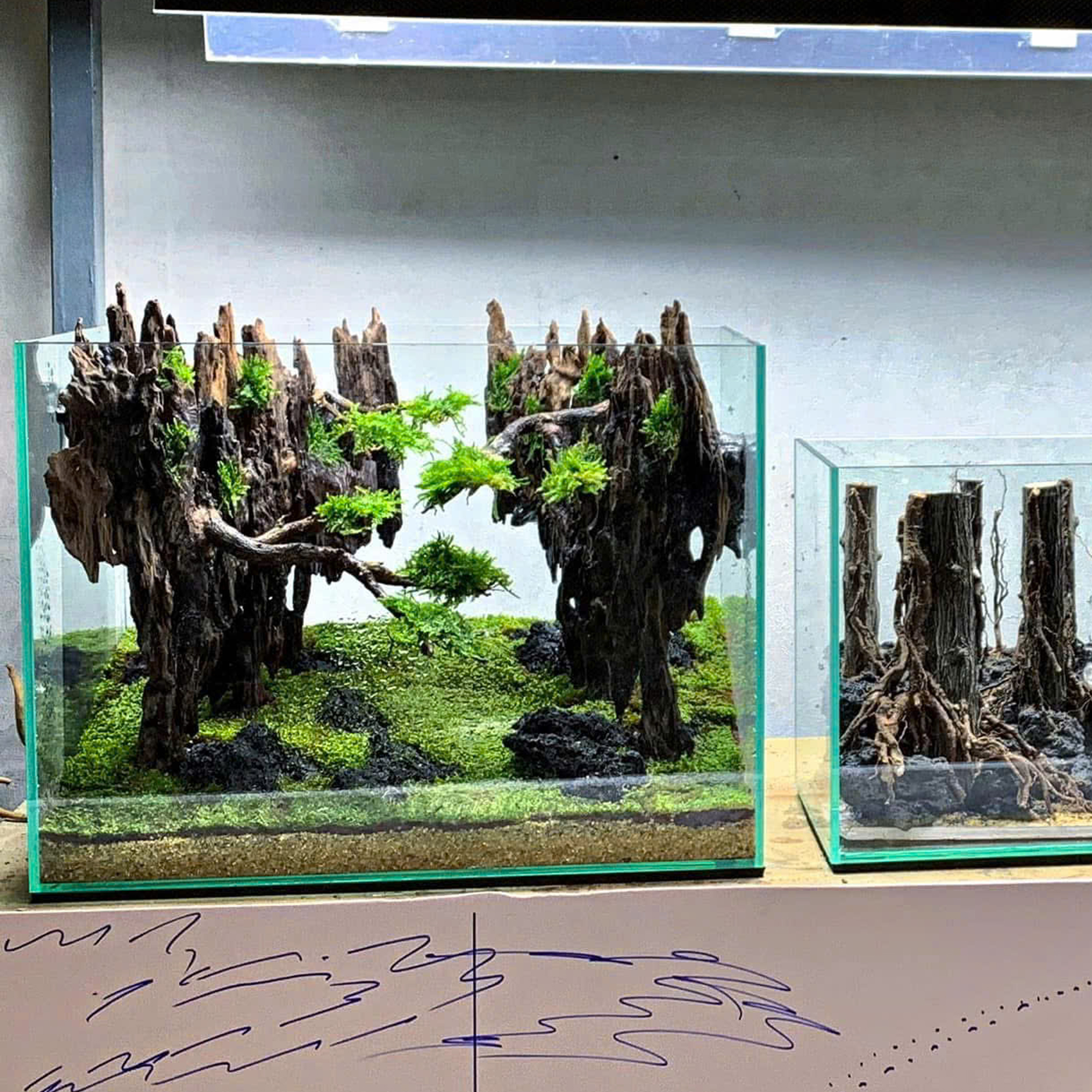 Bonsai Aquascape aquarium, Aquarium decoration - Image 6