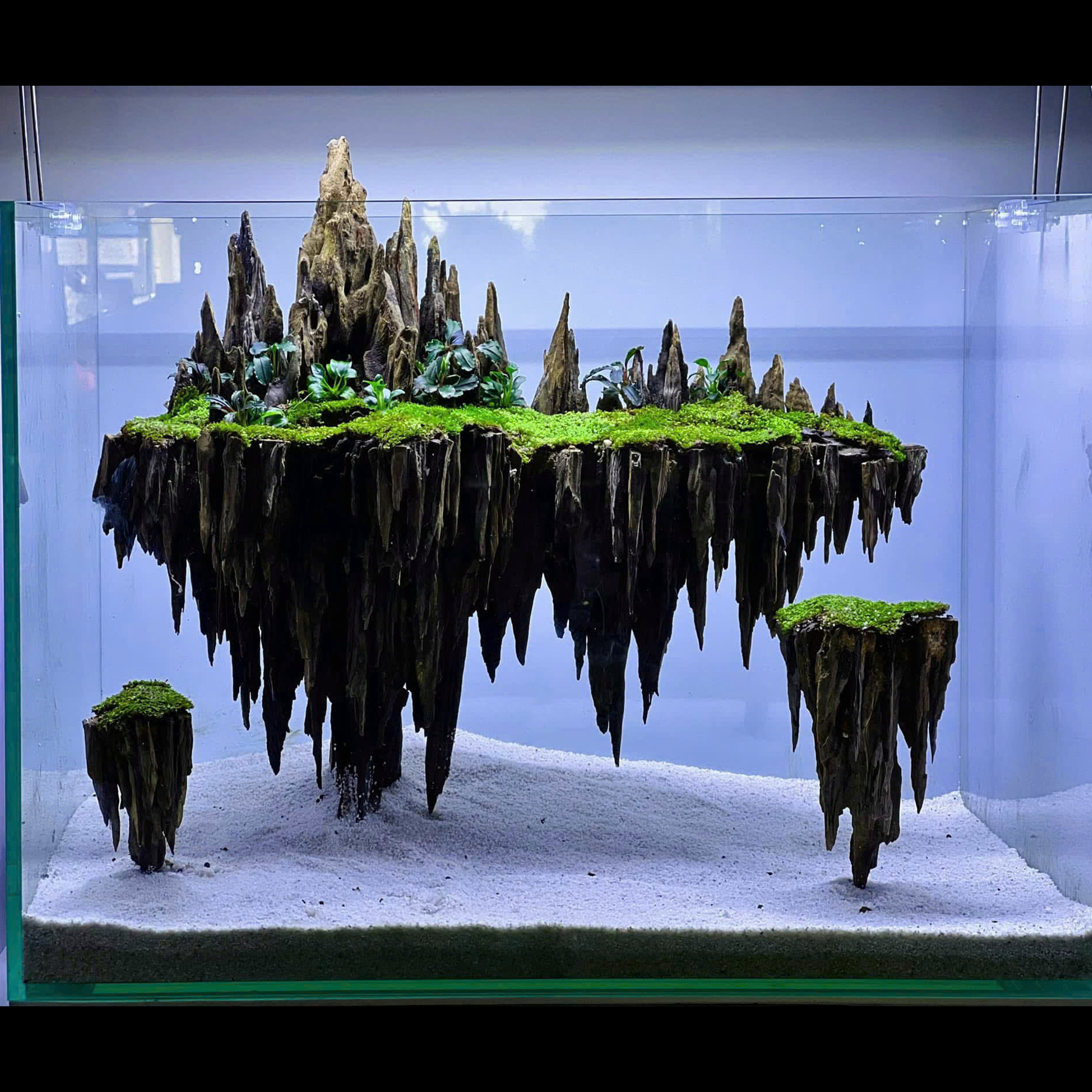 Aquarium decor,Aquascaping,Jungle aquascape,Fish tank decor