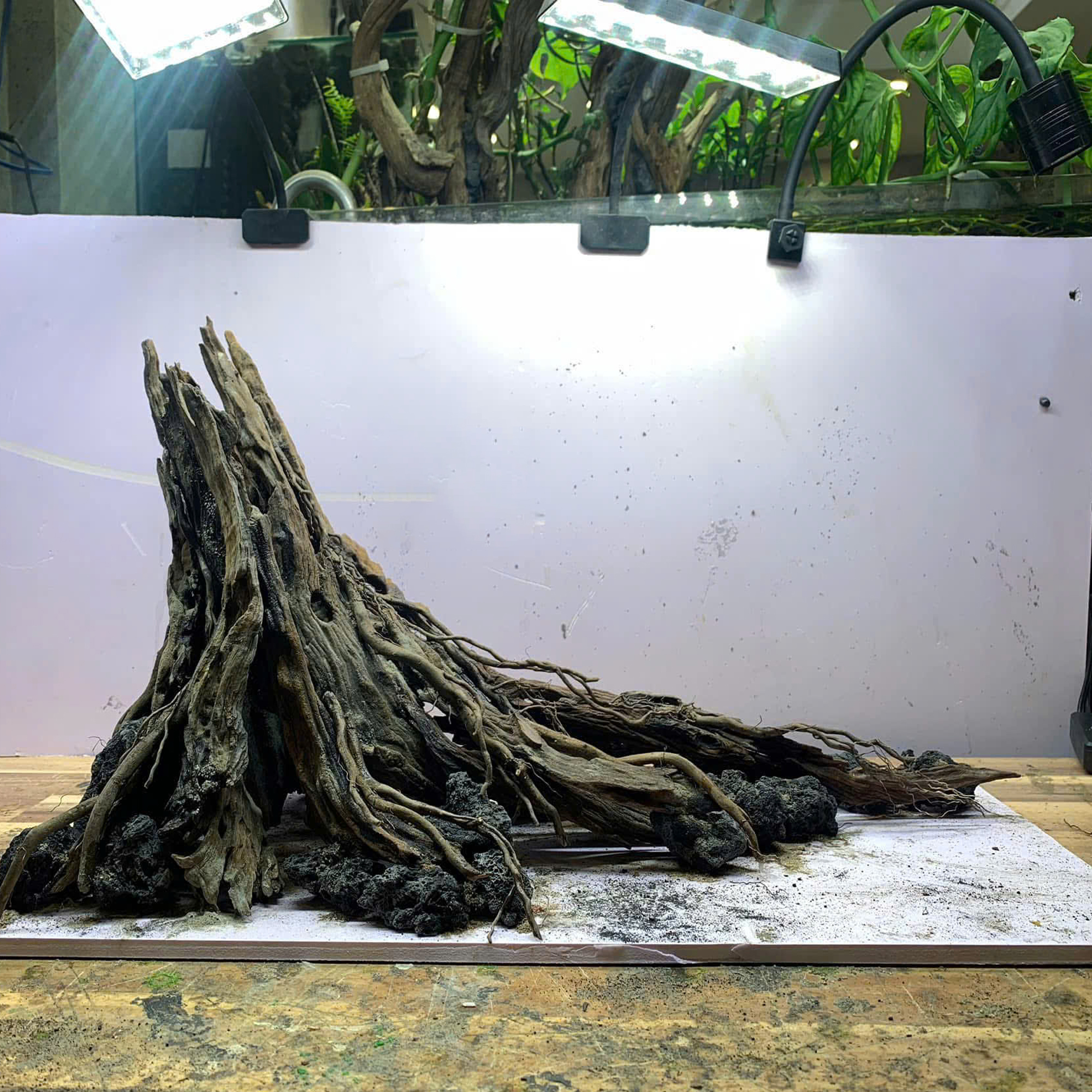 Nature Hardscape tree trunk Aquarium,Terrarium - Image 3