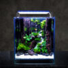 aquascaping