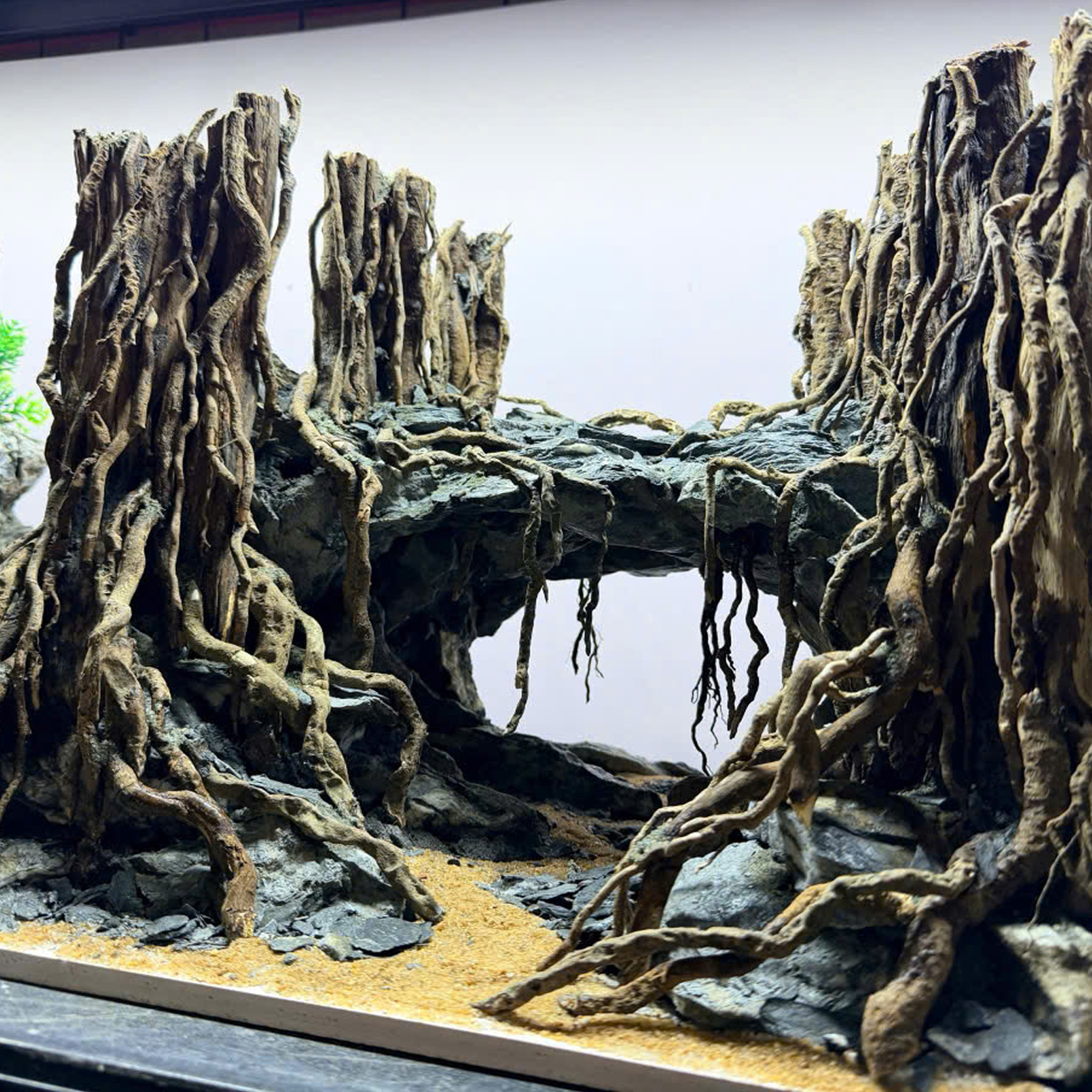 Unique Aquascape aquarium, Terrarium decoration,Vivarium decoration - Image 8