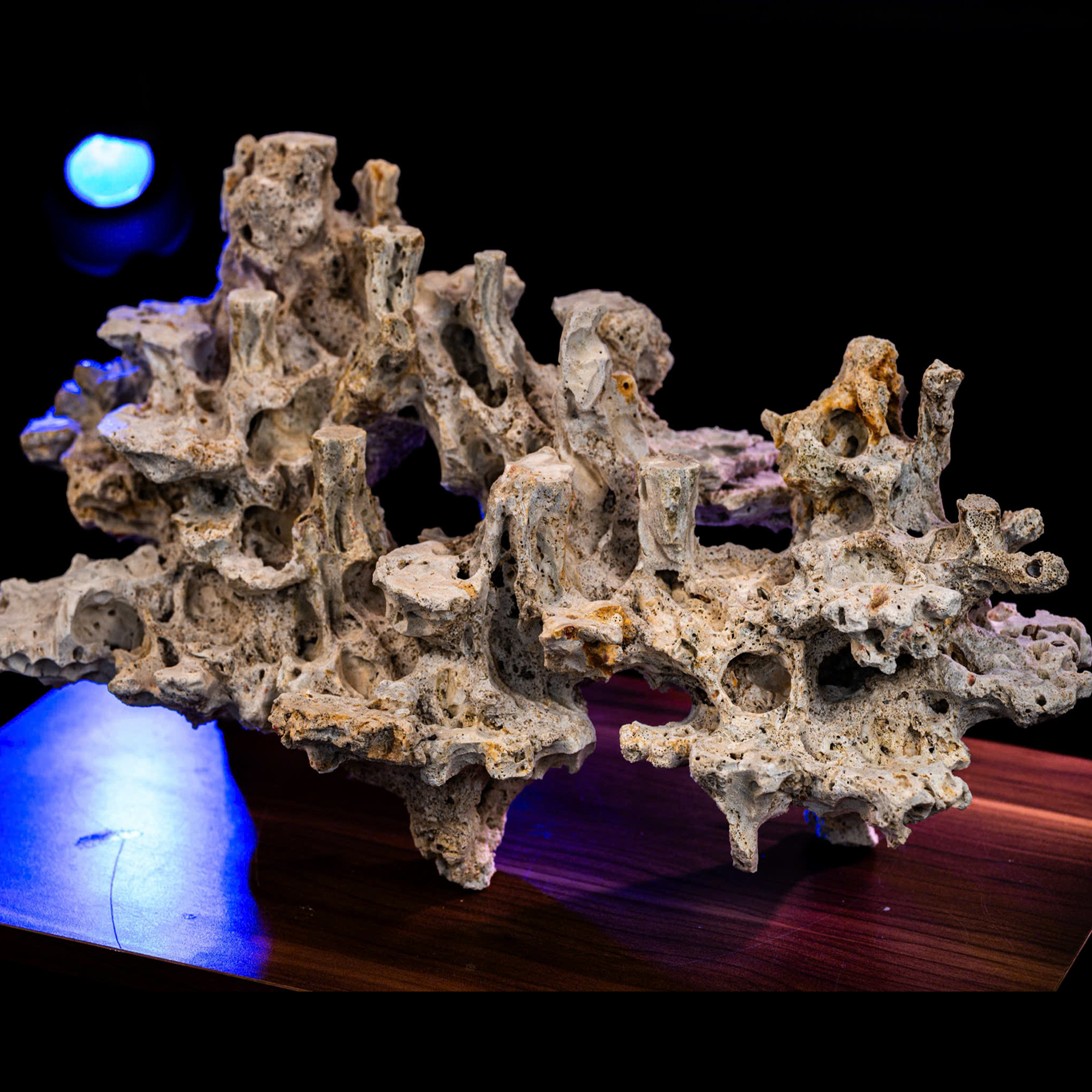 Custom Reef Tank Decor | Handmade Coral Rock Layouts - Image 7