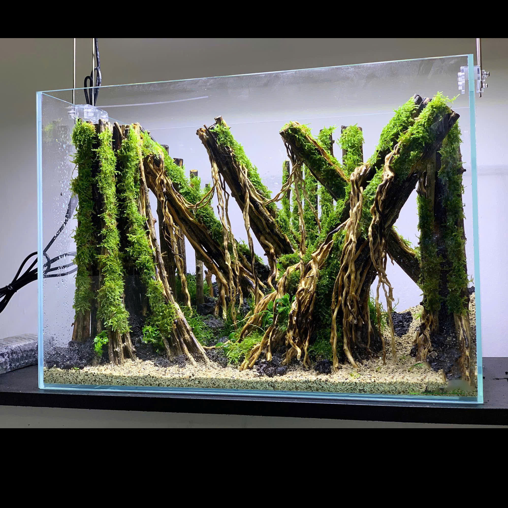 Forest Aquascape Aquarium, Aquarium Hardscape Driftwood
