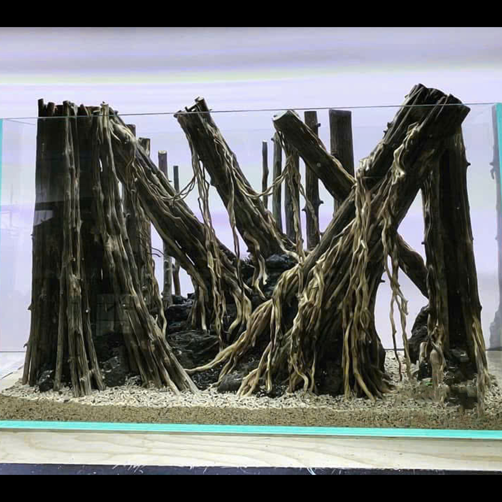 Forest Aquascape Aquarium, Aquarium Hardscape Driftwood - Image 7