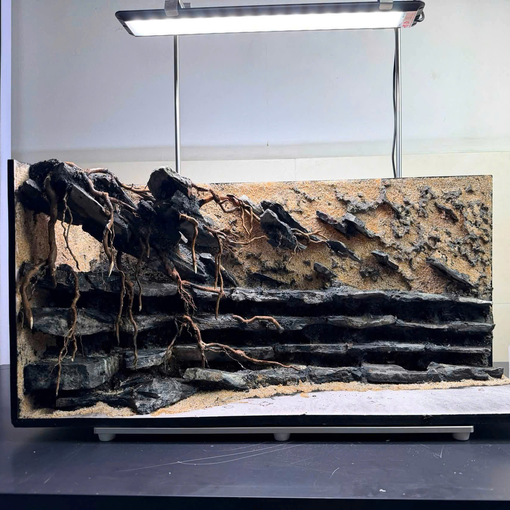 3D Backgroud Aquarium ,vivarium,terrarium, Paludarium - Image 3