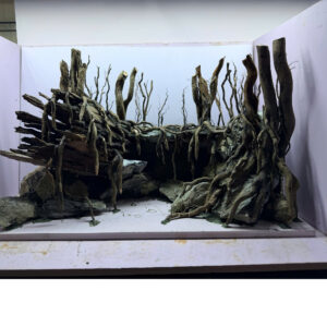 fish tank decor