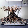aquascape