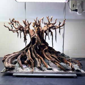 aquascape